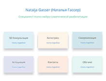 Tablet Screenshot of ngasser.com